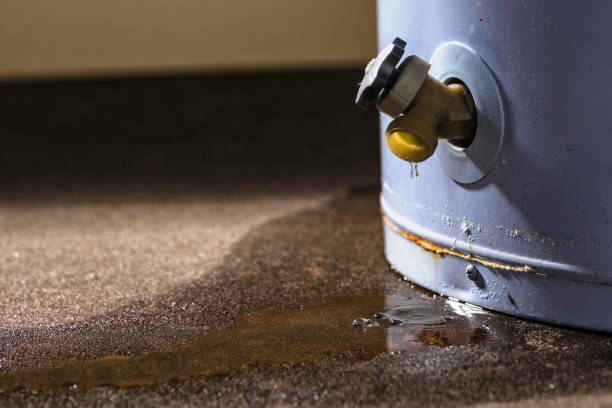Best Mold removal after water damage  in Footville, WI