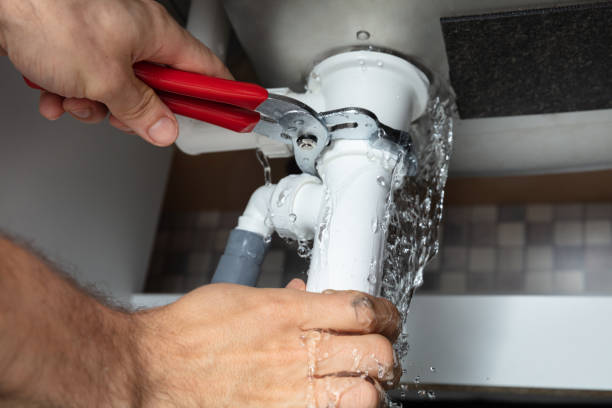 Best Professional water damage repair  in Footville, WI