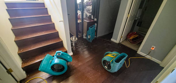 Best Ceiling water damage repair  in Footville, WI
