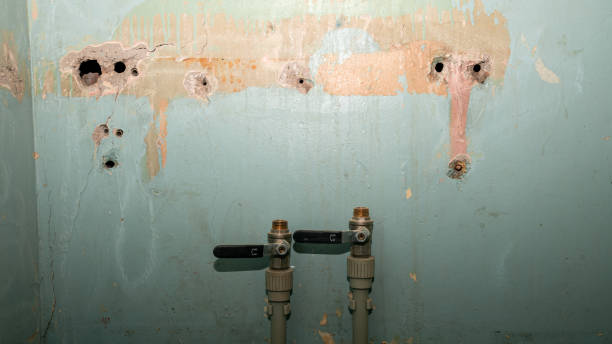 Best Emergency water damage restoration  in Footville, WI