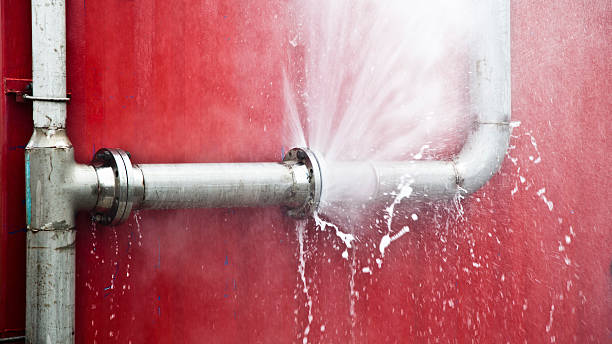 Best Carpet water damage restoration  in Footville, WI